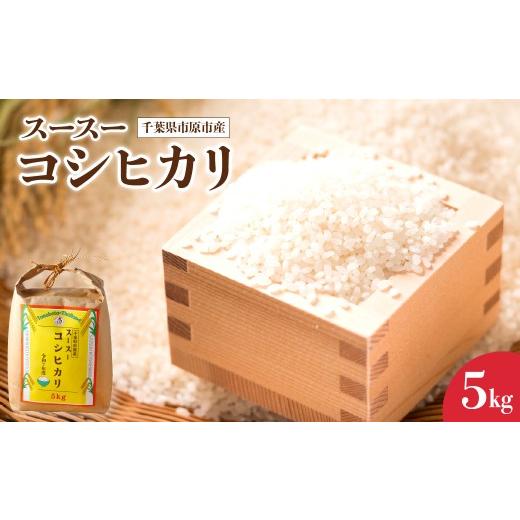 ふるさと納税 米 コシヒカリ 千葉県 市原市 令和7年産 千葉県市原市産 コシヒカリ 5kg×1袋 コシヒカリ 5kg×1袋 寄付金額:15,000円