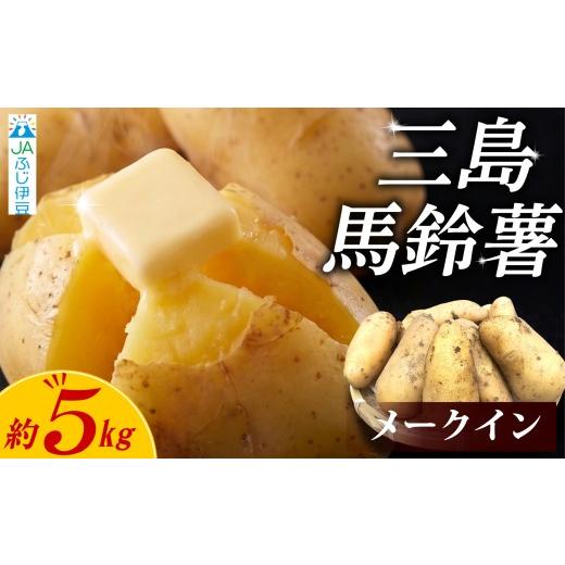 ふるさと納税 野菜類 じゃがいも 静岡県 三島市 先行予約2026年7月上旬より順次発送 じゃがいも 約5kg 三島馬鈴薯 JAふじ伊豆 馬鈴薯 メークイン 箱根西麓三…