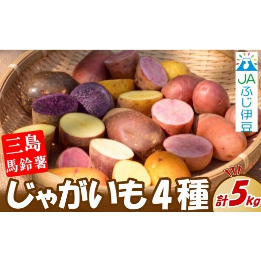 ふるさと納税 野菜類 じゃがいも 静岡県 三島市 先行予約2026年7月上旬より順次発送 じゃがいも 4種 約5kg 三島馬鈴薯 JAふじ伊豆 じゃがいも 馬鈴薯 メーク…