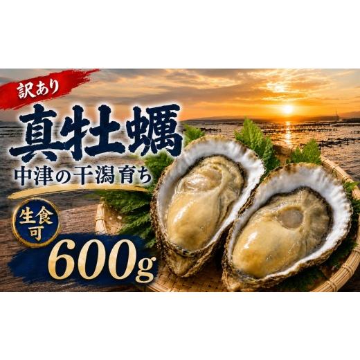 ふるさと納税 牡蠣 生牡蠣 大分県 中津市 訳あり 殻付き真牡蠣 600g | 牡蠣 カキ かき 真牡蠣 生食用 殻付き 海鮮 魚介 海のミルク おつまみ おかず 訳あり …