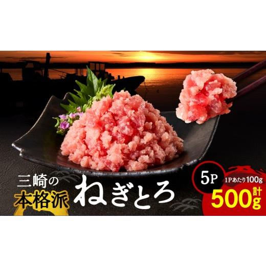 ふるさと納税 マグロ 神奈川県 三浦市 本格派ねぎとろ 100g×5パック(500g)セット M024-008-01