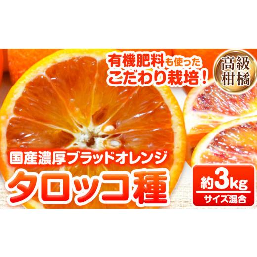 ふるさと納税 みかん・柑橘類 オレンジ 和歌山県 日高町 希少・高級柑橘 国産濃厚ブラッドオレンジ タロッコ種 約3kg 厳選館[2027年4月上旬-5月中旬頃出荷]…