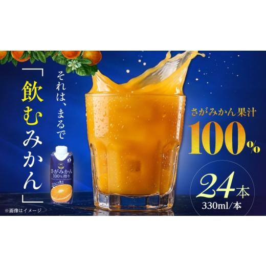ふるさと納税 果汁飲料 みかん 佐賀県 江北町 さがみかん100%搾り 2箱(330ml×12本入/箱) JAさが 杵島支所