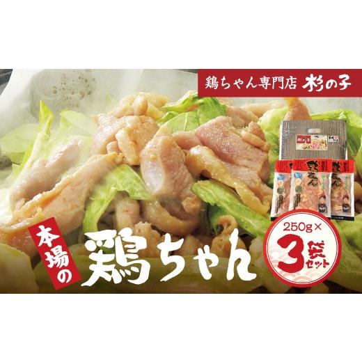 ふるさと納税 鶏肉 岐阜県 下呂市 鶏ちゃん専門店「杉の子」味付き鶏ちゃん 250g×3袋 冷凍配送 下呂市 けいちゃん ケイちゃん 郷土料理 味付け 鶏肉 味付き …