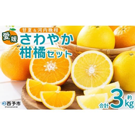 ふるさと納税 みかん・柑橘類 愛媛県 西予市 愛媛県西予市産 さわやか柑橘セット 合計約3kg 『5月〜6月中旬頃迄に順次出荷予定』甘夏 河内晩柑 あまなつ ばん…