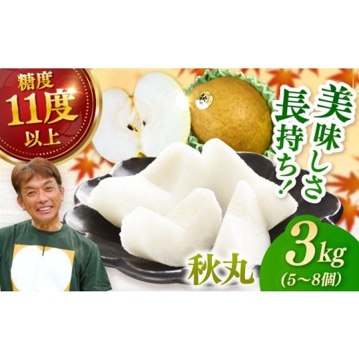 ふるさと納税 梨 佐賀県 - 先行予約 化粧箱入り 秋丸(王秋)5-8個入(約3kg) / 梨 なし 伊万里梨 フルーツ 果物 / 佐賀県 / 大川三世代 41A