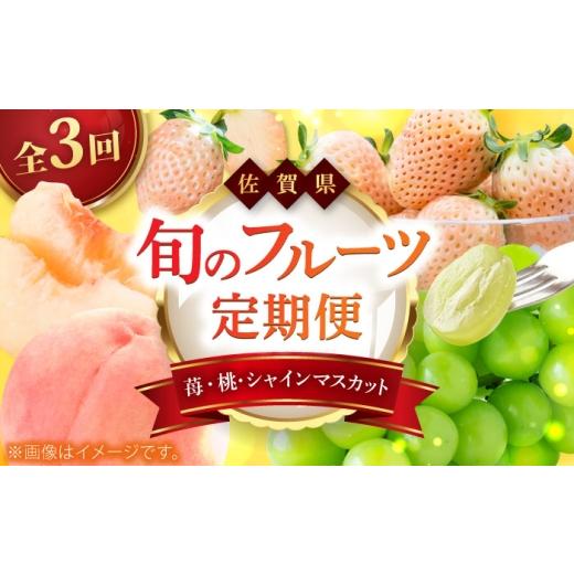 ふるさと納税 いちご 佐賀県 - 先行予約 全3回定期便 佐賀県の生産者を応援 いちごと桃とシャインマスカットを楽しむ定期便 / いちご シャインマスカット 桃…