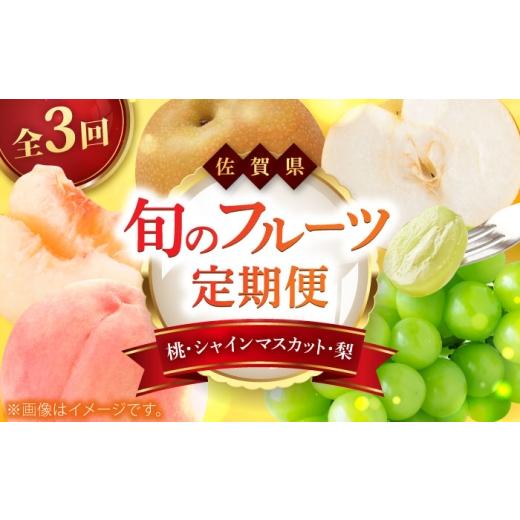 ふるさと納税 もも 佐賀県 - 先行予約 全3回定期便 佐賀県の生産者を応援 桃とシャインマスカットと梨を楽しむ定期便 / 梨 シャインマスカット 桃 フルーツ …