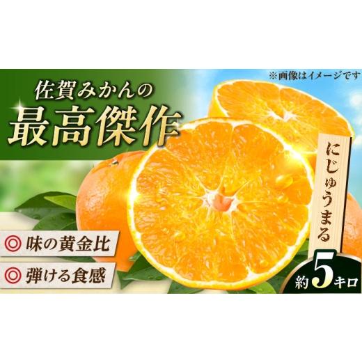 ふるさと納税 果物類 みかん 佐賀県 - 佐賀県産みかん にじゅうまる約5kg / フルーツ 柑橘 唐津 にじゅうまる / 佐賀県 / リフルット株式会社 41A
