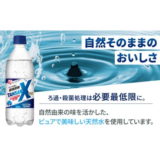 ふるさと納税 炭酸飲料 ソーダ水 佐賀県 -  全6回定期便 アイリス史上最強炭酸 TANSAN X 炭酸水 450ml×24本×6回 ／ 炭酸水 強炭酸 ソーダ 炭酸 ペットボトル…_2
