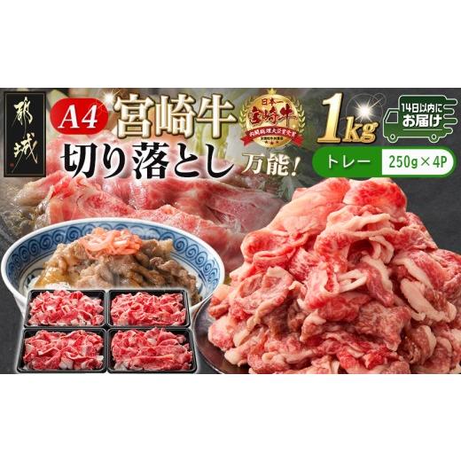 ふるさと納税 牛肉 炒め物 宮崎県 都城市 宮崎牛切り落とし1kg みやこんじょ快速便 _MJ-89-006-1000g-R_(都城市) 宮崎県産 宮崎牛 牛肉 A4ランク 切り落とし …