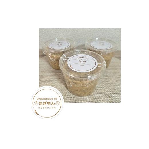ふるさと納税 味噌 合わせ味噌 福岡県 行橋市 DM-006_麹のお店 むぎもん 5倍麹の合わせ味噌セット