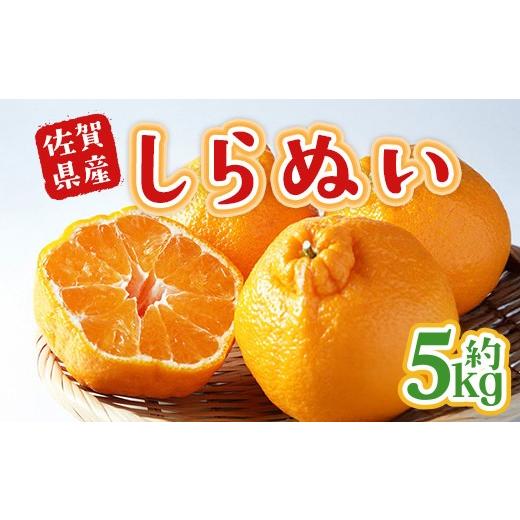 ふるさと納税 みかん・柑橘類 デコポン 佐賀県 太良町 不知火 約5kg みかん ミカン 果実 果汁 果肉 柑橘類 柑橘系 国産 佐賀県産 2027年2月上旬〜4月上旬発送…