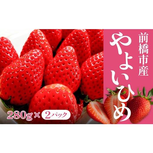 ふるさと納税 いちご 群馬県 前橋市 やよいひめ 280g×2パック 2027年 先行予約 | いちご イチゴ 苺 やよいひめ 甘い おいしい ギフト プレゼント 贈答用 ご…