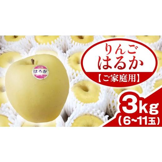 ふるさと納税 りんご 岩手県 紫波町 先行予約 ご家庭用 りんご はるか 約3kg (6〜11玉)(FH003)リンゴ 林檎 果物 フルーツ 岩手 詰め合わせ 詰合せ くだもの…