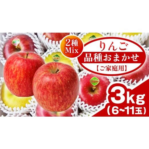ふるさと納税 りんご 岩手県 紫波町 ご家庭用 りんご 品種おまかせ 2種Mix 3kg(6〜11玉)(FH001)リンゴ 林檎 果物 フルーツ 岩手 詰め合わせ 詰合せ くだ…