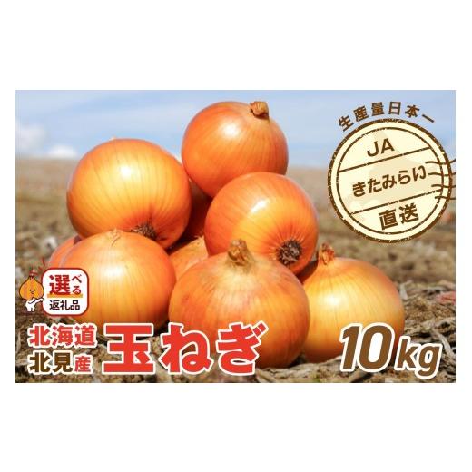 ふるさと納税 野菜類 玉ねぎ 北海道 北見市 2026年10月中お届け JAきたみらい産 玉ねぎ Lサイズ 10kg ( タマネギ たまねぎ 野菜 ) 210-0003-2026 2026年10月…