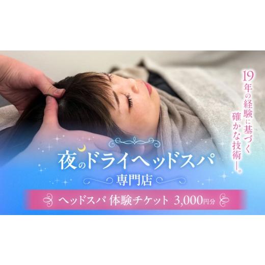 ふるさと納税 温泉・サウナ・スパ利用券 高知県 高知市 ヘッドスパ 体験チケット 3000円分 / ヘッドケア マッサージ ケア リフレッシュ リラックス 体験 チケ…