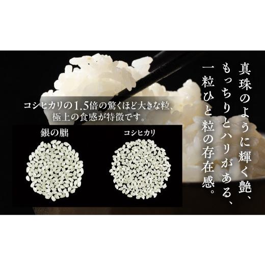 ふるさと納税 米 岐阜県 下呂市 新米予約受付 2026年産米 （2026年11月発送）銀の朏 5kg×2袋 テレビで紹介 幻の米 皇室献上米 化学肥料不使用 10キロ いのち…_3