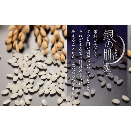 ふるさと納税 米 岐阜県 下呂市 予約受付 2026年産米 （2027年1月発送）銀の朏 5kg×2袋 テレビで紹介 幻の米 皇室献上米 化学肥料不使用 10キロ いのちの壱 …_2