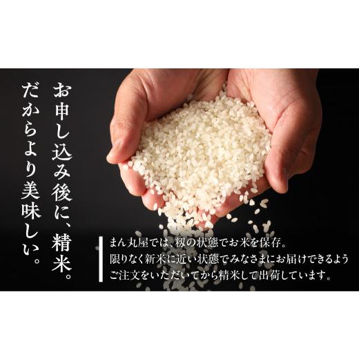 ふるさと納税 米 岐阜県 下呂市 予約受付 2026年産米 （2027年1月発送）銀の朏 5kg×2袋 テレビで紹介 幻の米 皇室献上米 化学肥料不使用 10キロ いのちの壱 …_4