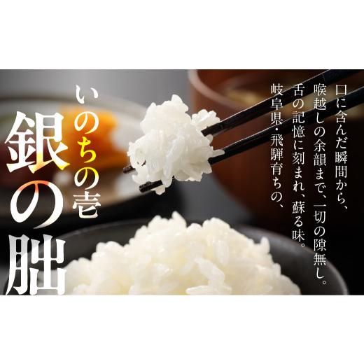ふるさと納税 米 岐阜県 下呂市 予約受付 2026年産米 （2027年1月発送）銀の朏 5kg×2袋 テレビで紹介 幻の米 皇室献上米 化学肥料不使用 10キロ いのちの壱 …_5