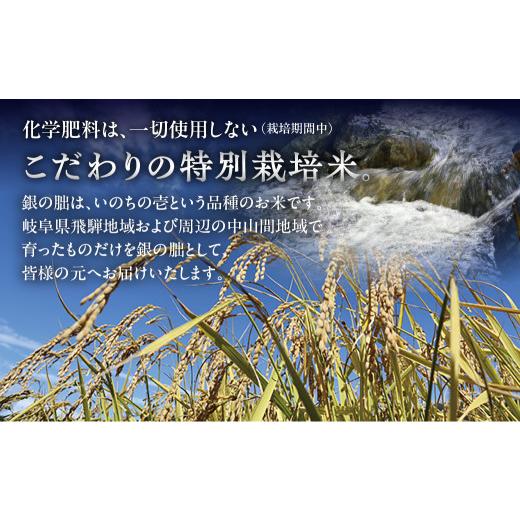 ふるさと納税 米 岐阜県 下呂市 予約受付 2026年産米 （2027年1月発送）銀の朏 5kg×2袋 テレビで紹介 幻の米 皇室献上米 化学肥料不使用 10キロ いのちの壱 …_7
