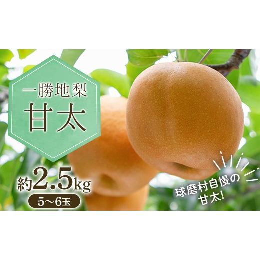 ふるさと納税 梨 熊本県 球磨村 FKP9-713 一勝地梨 甘太 約2.5kg なし ナシ デザート フルーツ 果物 くだもの 果実 食品