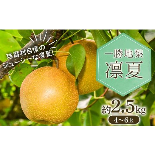 ふるさと納税 梨 熊本県 球磨村 FKP9-714 先行予約 新品種 一勝地梨 凛夏 約2.5kg なし ナシ デザート フルーツ 果物 くだもの 果実 食品