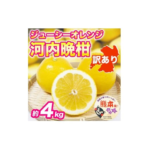 ふるさと納税 みかん・柑橘類 オレンジ 熊本県 宇城市 先行予約 訳あり 河内晩柑 ジューシーオレンジ みかん 約4kg 2027年3月上旬〜4月中旬配送予定 かわちば…