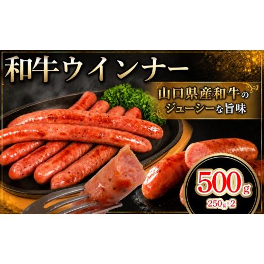 ふるさと納税 肉 ソーセージ 山口県 下関市 和牛ウインナー 500g 250g×2個 冷凍 小分け ソーセージ ウィンナー 和牛 山口県産 和牛 100% おつまみ おかず 料…