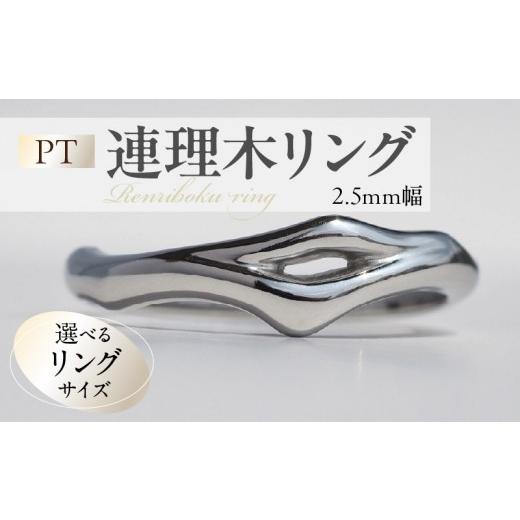 ふるさと納税 アクセサリー リング 愛知県 小牧市 PT連理木リング[2.5mm幅](21号) 21号