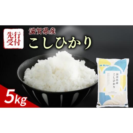 ふるさと納税 米 コシヒカリ 滋賀県 彦根市 令和8年産 先行予約 新米 こしひかり 5kg 令和8年産 米 精米 こめ コメ お米 ご飯 米 コシヒカリ 5キロ 令和8年 …