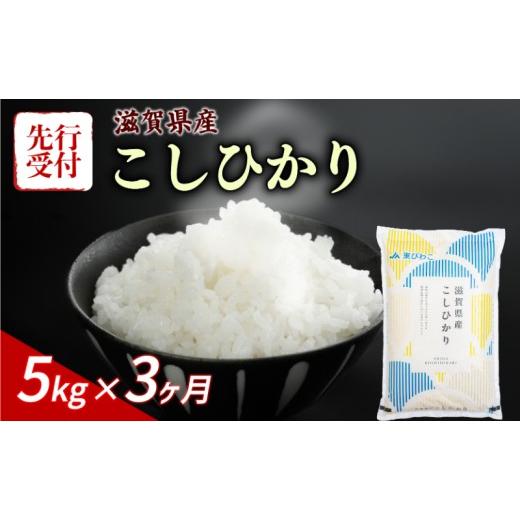 ふるさと納税 米 コシヒカリ 滋賀県 彦根市 令和8年産 先行予約 新米 こしひかり 5kg 3回定期便 令和8年産 定期便 米 精米 こめ コメ お米 ご飯 米 コシヒカ…