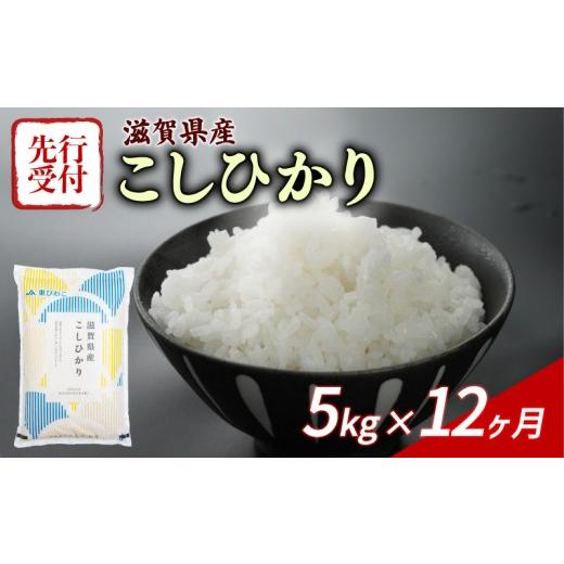 ふるさと納税 米 コシヒカリ 滋賀県 彦根市 令和8年産 先行予約 新米 こしひかり 5kg 12回定期便 令和8年産 定期便 米 精米 こめ コメ お米 ご飯 米 コシヒカ…