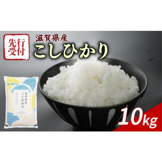 ふるさと納税 米 コシヒカリ 滋賀県 彦根市 令和8年産 先行予約 新米 こしひかり 10kg 令和8年産 米 精米 こめ コメ お米 ご飯 米 コシヒカリ 10キロ 令和8年…