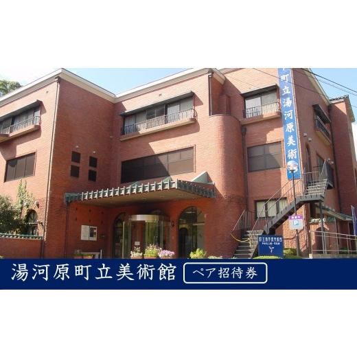 ふるさと納税 入場券・優待券 神奈川県 湯河原町 湯河原町立美術館 ペア招待券 | 湯河原町 町立美術館 文化施設 アート鑑賞 観光