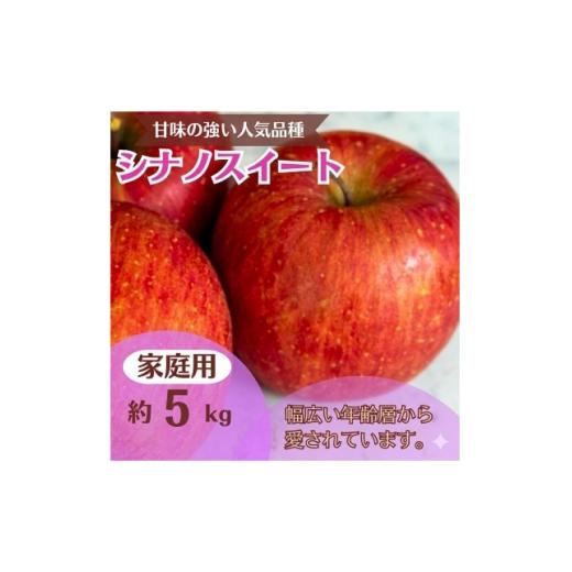 ふるさと納税 りんご 長野県 中野市 シナノスイート 約5kg 家庭用 1739134