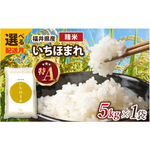 ふるさと納税 米 福井県 福井市 9月発送 生活応援 令和7年産 福井が生んだブランド米「福井県産いちほまれ」 5kg 1袋 精米 A-014002_09 / 米 こめ お米 いち…