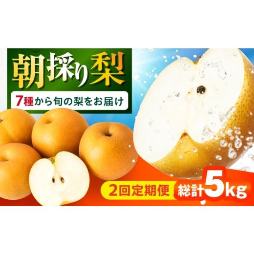 ふるさと納税 梨 長崎県 大村市 2回定期便 朝採り旬の梨 約2.5kg(6玉)/回 計5kg 大村市 産直松吉/梨 なし 定期便 梨 幸水 豊水 秋麗 あきづき 新高 20世…