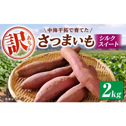 ふるさと納税 野菜類 サツマイモ 島根県 松江市 先行予約/10月28日以降発送 訳あり 島根県GAP認証 さつまいも(シルクスイート)2kg 島根県松江市/フジキ…