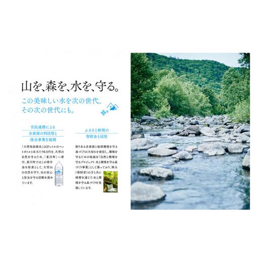 ふるさと納税 水・ミネラルウォーター 1L〜2L 北海道 東川町  4ヵ月定期便 大雪旭岳源水（2L×12本） 12本×4ヵ月：寄付金額32,000円_6