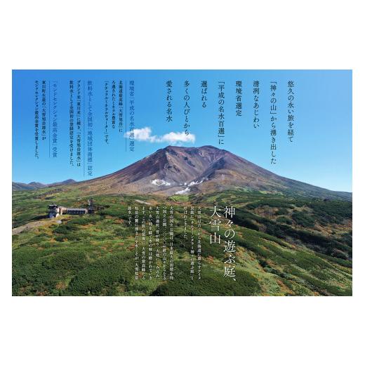 ふるさと納税 水・ミネラルウォーター 1L〜2L 北海道 東川町  6ヵ月定期便 隔月発送 大雪旭岳源水（2L×6本） 隔月配送 6本×6ヵ月：寄付金額33,000円_5