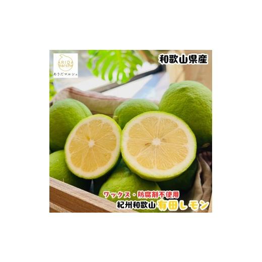 ふるさと納税 みかん・柑橘類 レモン 和歌山県 那智勝浦町 [先行予約][国産]紀州和歌山 有田レモン 1kg [MS66]