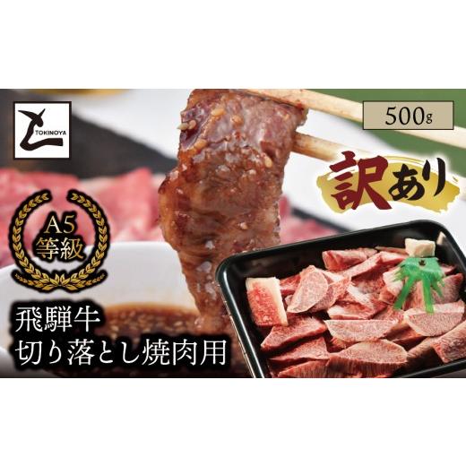 ふるさと納税 牛肉 焼肉・バーベキュー 岐阜県 垂井町 訳あり A5 飛騨牛 切り落とし 焼肉用 500g|岐阜県産 国産 黒毛和牛 ブランド牛 霜降り 不揃い 冷凍 贅…