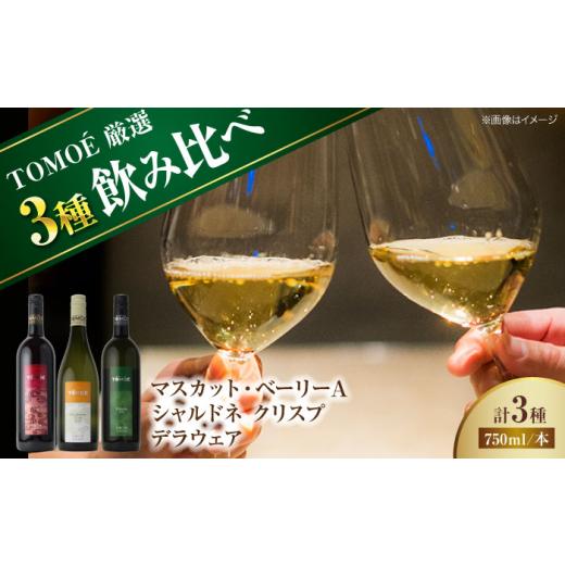 ふるさと納税 ワイン 広島県 三次市 お中元ギフト対象 白ワイン TOMOE 厳選 3種 飲み比べ 3種セット ワイン 白ワイン 赤ワイン 白 赤 受賞 飲み比べ ワインセ…