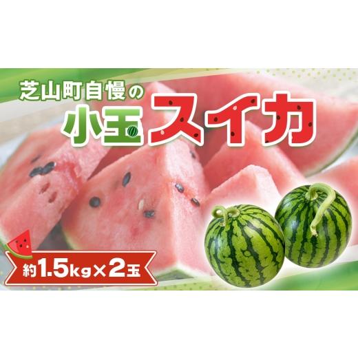 ふるさと納税 スイカ 千葉県 芝山町 小玉スイカ / すいか 小玉 約1.5kg×2玉 芝山町産 厳選 旬 食べきりサイズ 水分補給 夏 甘い 高糖度 おやつ デザート 西…