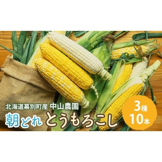 ふるさと納税 とうもろこし 北海道 幕別町 北海道 幕別町産 中山農園 朝どれ とうもろこし 3種 10本 (1本350g以上) 北海道産 スイートコーン 野菜 十勝 幕別…