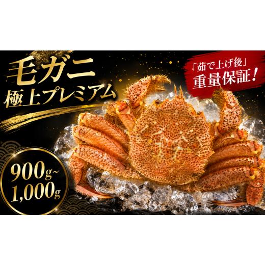 ふるさと納税 カニ 毛ガニ 石川県 羽咋市 姫丸の毛ガニ・極上プレミアム 茹で上げ900g〜1000g 1杯 2026年 4月 - 6月 発送