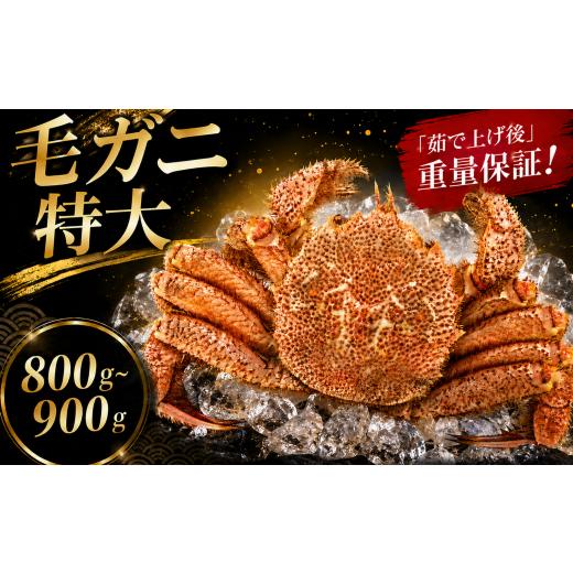 ふるさと納税 カニ 毛ガニ 石川県 羽咋市 姫丸の毛ガニ・特大 茹で上げ800g〜900g 1杯 2026年 4月 - 6月 発送